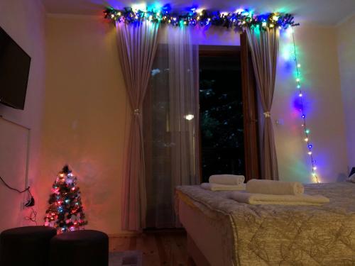 a room with a christmas tree and a bed with lights at Apartmani Sredojevic in Kaludjerske Bare