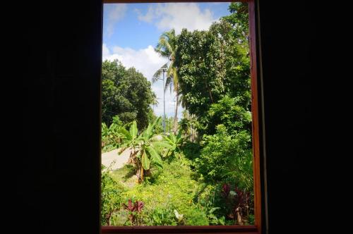 Taman di luar Peaceland Hostel