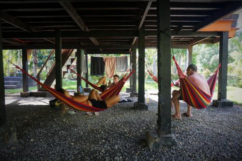 Gambar di galeri bagi Peaceland Hostel di Panglao