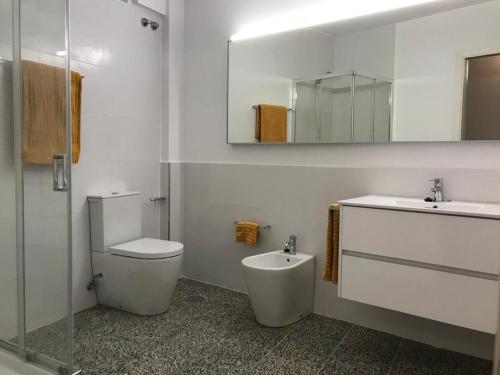 a bathroom with a toilet and a sink and a mirror at Apartamento Padrón Centro, Camino De Santiago P1 UR in Padrón