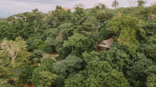 an aerial view of a house in the middle of a forest at Treetops Boutique Hotel & Bungalows in Port Vila