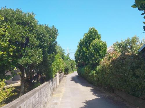 a road with a fence and trees on the side at Uminchuno Yado in Nago