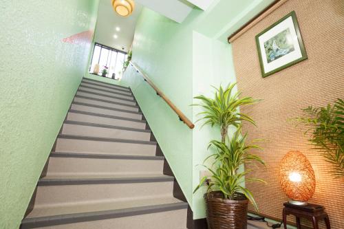 a staircase in a building with potted plants at Akasaka-no Sato (Female Only) in Tokyo