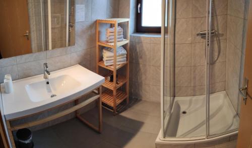 ein Bad mit einem Waschbecken und einer Dusche in der Unterkunft Gästehaus Maria in Lermoos