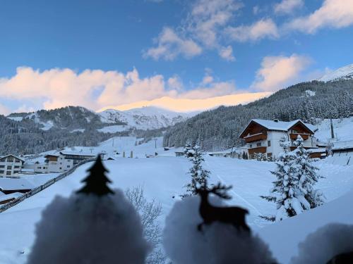 a deer in the snow in front of a house at Hotel Garni Alpendiamant in Fiss