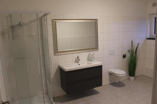 y baño con lavabo, aseo y espejo. en Dünenhaus Wohnung 6, en Lübeck