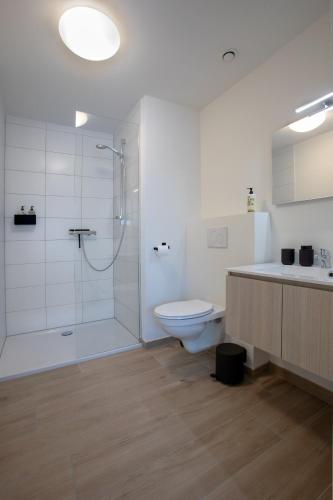 a bathroom with a shower and a toilet and a sink at Q-Stay in Antwerp