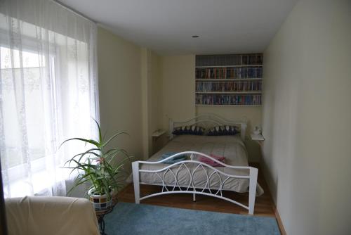 a bedroom with a bed and a book shelf at Apartment rent in Nida