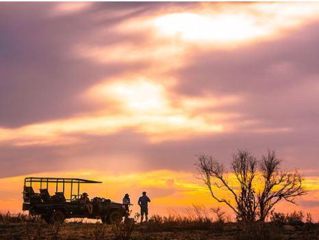 a group of people standing next to a truck in a field at Metsi Lodge in Welgevonden Game Reserve