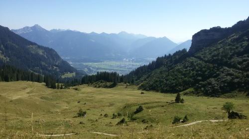 a grassy hill with trees and mountains in the background at Ferienwohnung AlMa in Pflach
