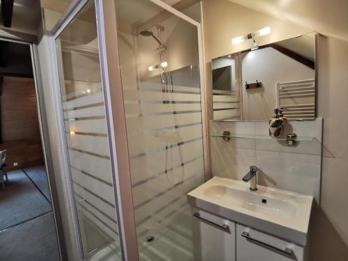 a bathroom with a sink and a shower at Chez Yann et Valérie in Pont-Aven