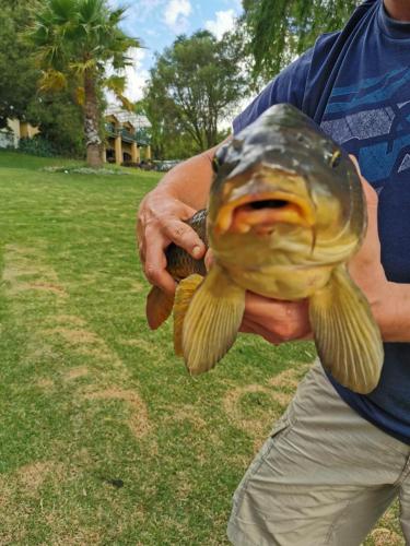 a man holding a large fish in his hands at Vale2Vaal in Parys