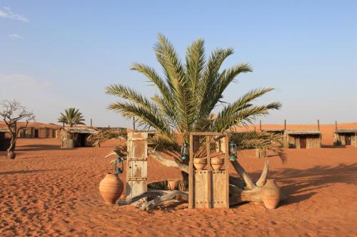 a palm tree in the middle of a desert at Nomadic Desert Camp in Al Wāşil
