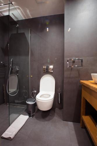 a bathroom with a toilet and a shower at Adryades luxury apartments in Metsovo