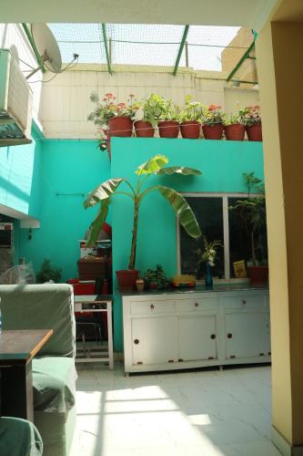 Un pato o zona al aire libre en Tara Guest House