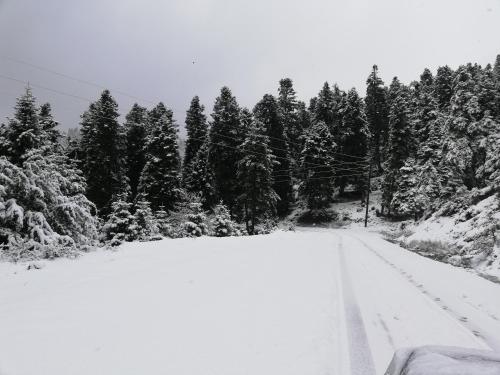 a road covered in snow with trees in the background at Xenonas Kypseli in Kipseli
