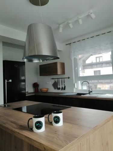 Kuchyň nebo kuchyňský kout v ubytování Kasita Bled Apartments