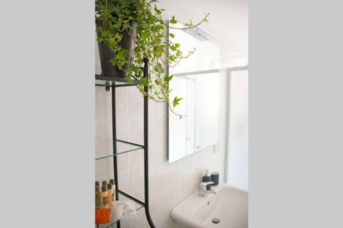 a bathroom with a plant on a shelf at Villa la Rina in Palermo