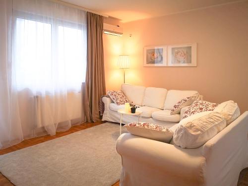 Φωτογραφία από το άλμπουμ του FilinHome Supljikca Suite στο Νόβι Σαντ