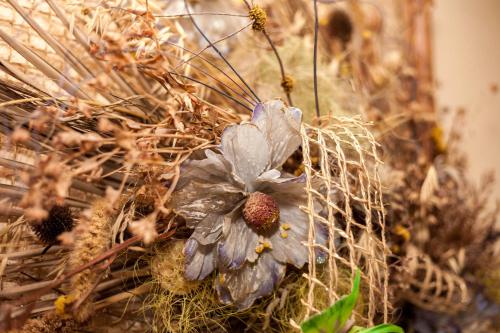 a plant with a blue flower in the grass at Smerekova Hata in Yablunytsya
