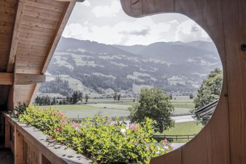 a window with a view of a field and mountains at Apart Söllbacherhof in Fügen