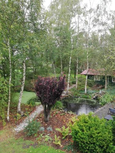 a garden with a pond and a tree with purple flowers at Zizania in Noord-Sleen
