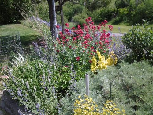 Gallery image of Charming White Bird Home with Mtn and Salmon River View in Whipsaw Saddle