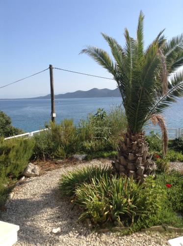 Φωτογραφία από το άλμπουμ του Villa Iž σε Veli Iz