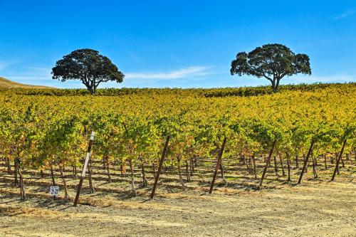 Pleasant Valley Wine Trail Home - Near Paso Robles