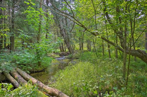 a creek in a wooded area with a fallen tree at Secluded Log Cabin in NW Michigan Hot Tub and Deck in Evart
