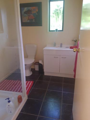 a bathroom with a shower and a sink and a toilet at Perfect Small Bay Peaceful Beach. Great Fishing Boating Oysters in Ohingaroa