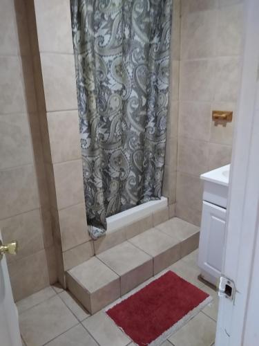 a shower with a shower curtain and a red rug at Clarysville Motel in Frostburg