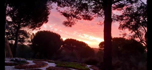 a sunset over a park with a tree and a pond at Ying Yang Monte da Lua in Comporta