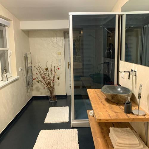 a bathroom with a sink and a glass shower at Villa Kitzbühel in Kirchberg in Tirol