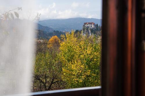 Rooms Tereza