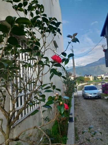 ヴィラから撮影された、または一般的な山の景色