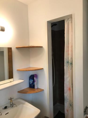 a bathroom with a sink and a shower at Domaine "Les Hochets in Vresse-sur-Semois