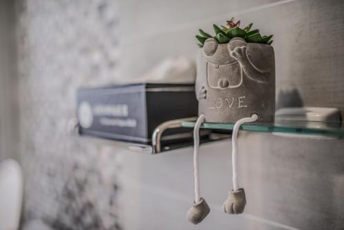 a shelf with a plant and a box on it at Follow Me Vogue Homestay in Ruisui