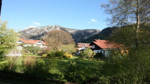 a group of houses in a yard with mountains in the background at Chalet Harmonie in Inzell