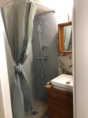 La salle de bains est pourvue d'un rideau de douche et d'un lavabo. dans l'établissement Nice Sunshine, à Nice