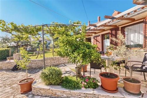 Apartment Orange Tree