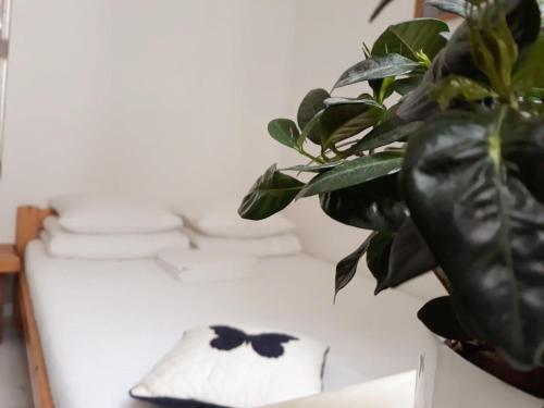 a black bow tie on a table with a plant at Amber Private Rooms in Rīga