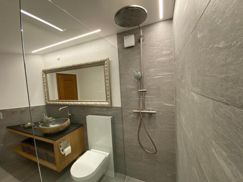 een badkamer met een toilet, een wastafel en een spiegel bij Casa al Lag - direkt am Laaxersee in Laax