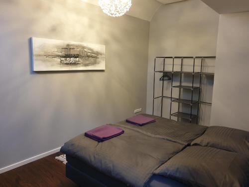 a bedroom with a bed with purple cushions on it at Appartement Schepper's in Trier