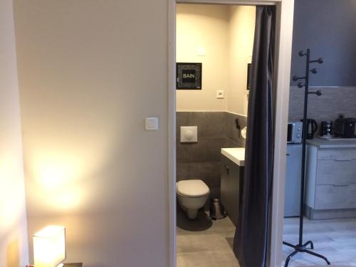 a bathroom with a toilet and a sink at STUDIO proche gare avec kitchenette et wifi - porte rouge in Thiviers