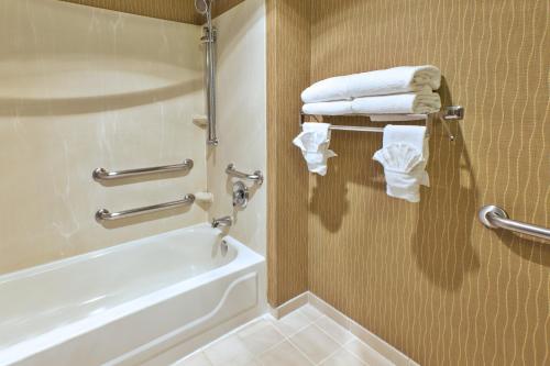 Kylpyhuone majoituspaikassa Holiday Inn & Suites Bolingbrook, an IHG Hotel