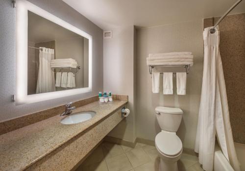 a bathroom with a sink and a toilet and a mirror at Holiday Inn Express Hotel & Suites Carson City, an IHG Hotel in Carson City