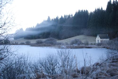 a house on a hill next to a snow covered lake at le refuge des Marmottes in Saint-Laurent-du-Jura
