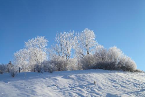 a field covered in snow with trees in the background at le refuge des Marmottes in Saint-Laurent-du-Jura