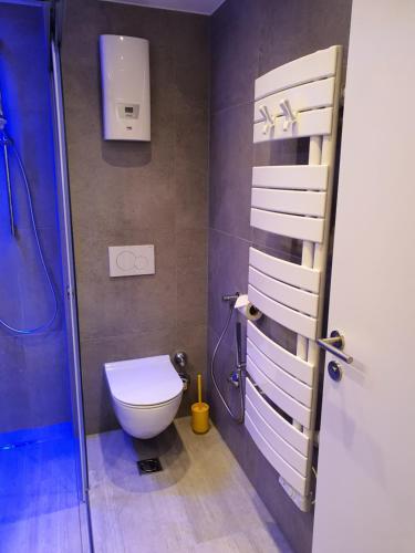 a bathroom with a toilet and a shower at Apartment Leontina in Kaprun